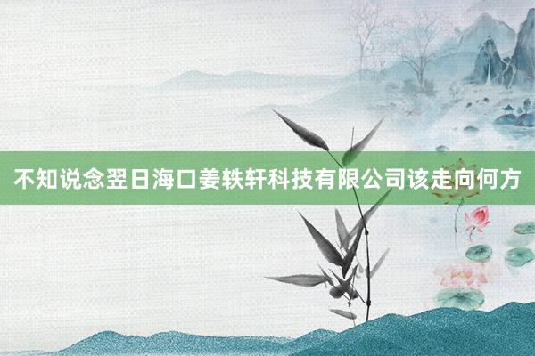 不知说念翌日海口姜轶轩科技有限公司该走向何方