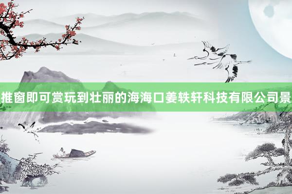 推窗即可赏玩到壮丽的海海口姜轶轩科技有限公司景