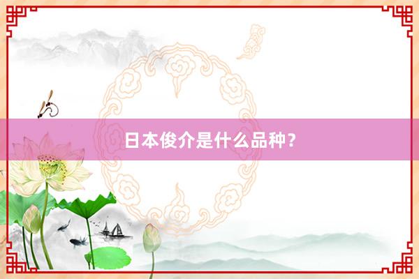 日本俊介是什么品种？